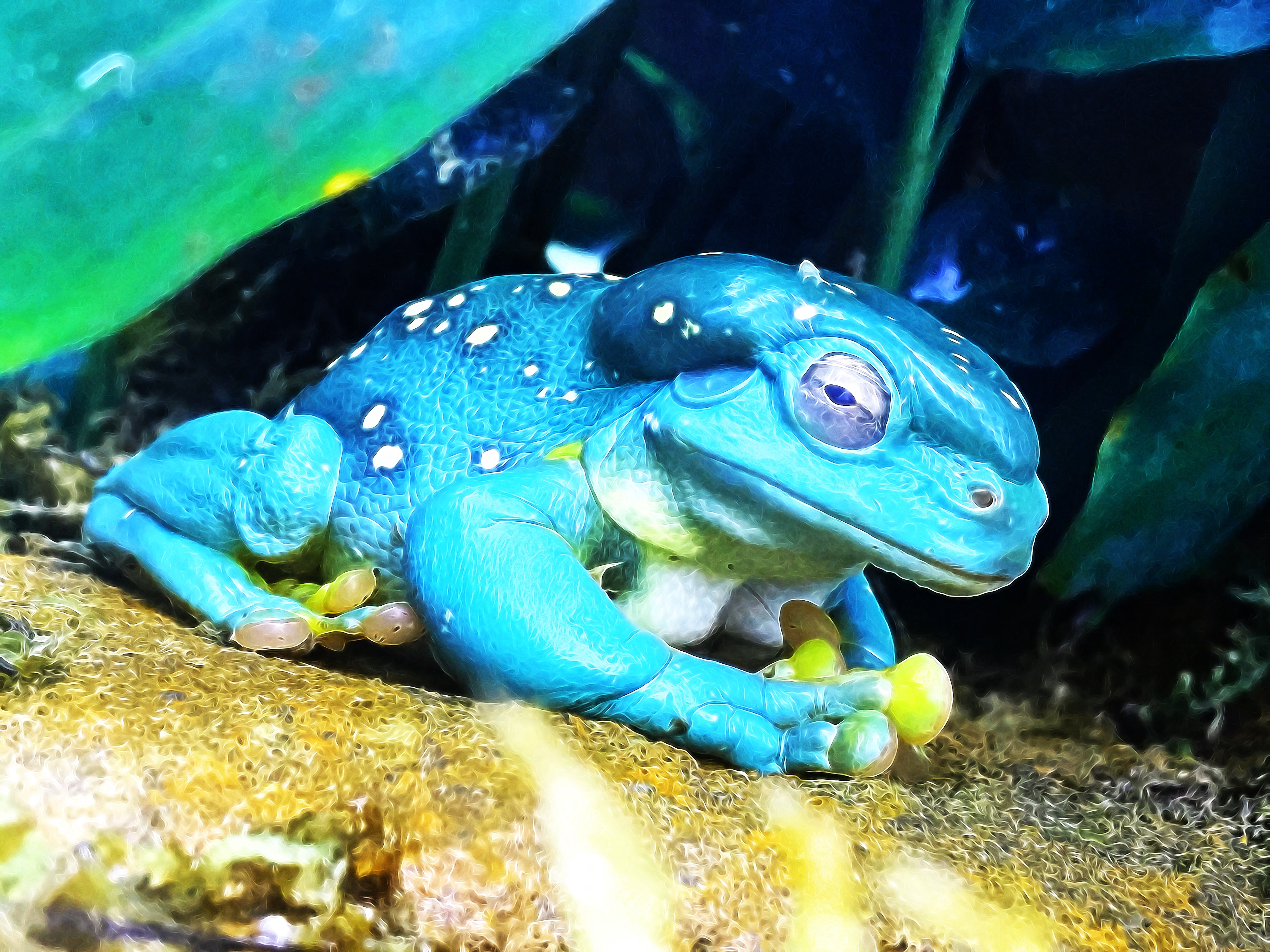 Blue Frog